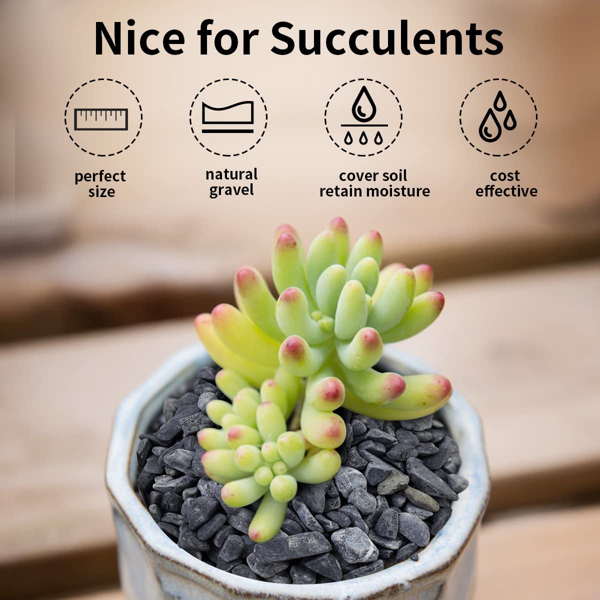 FANTIAN 10LB Black Pea Gravel for Landscaping, 3/8 Inch Black Pebbles for Plants Cactus Succulent Fish Tank and Garden Black Stones