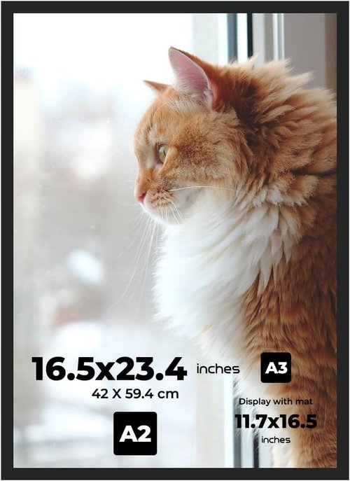 A2 Picture Frame - Premium Glossy Black Plastic with Shatterproof Plexiglass | 16.5"x23.4" for Art and Photos