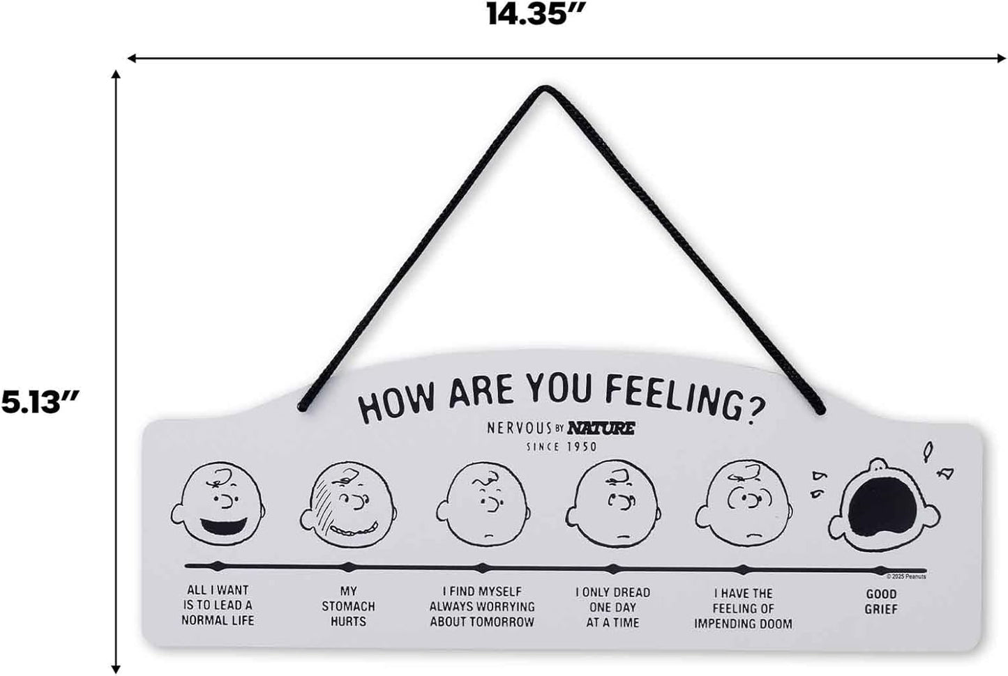 Peanuts How Are You Feeling Hanging Metal Sign - Humorous Wall Decor for Home | Perfect Gift Idea