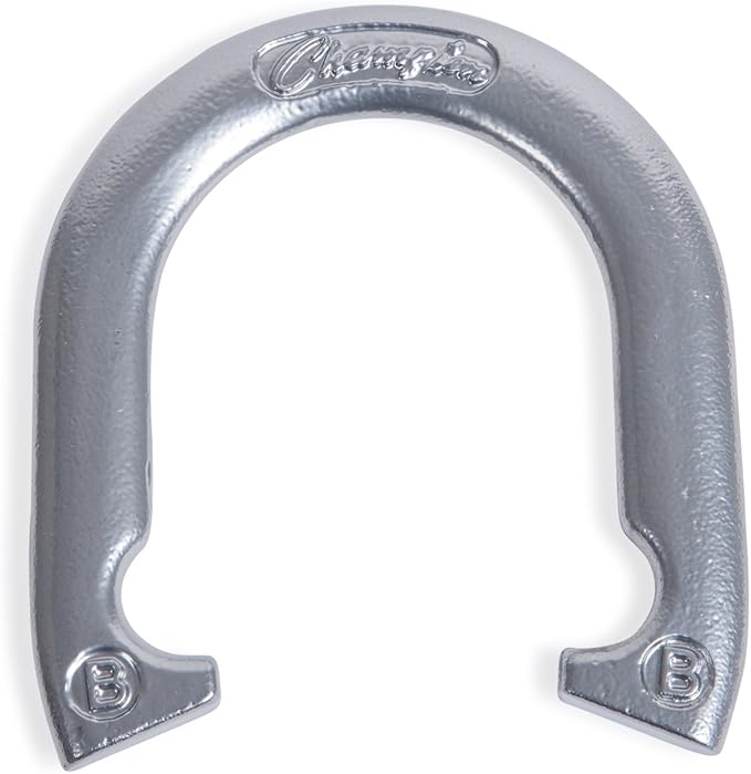 Champion Sports Horseshoe Set: Traditional Outdoor Lawn Game includes Four Professional Solid Steel Horseshoes with Solid Steel Stakes & Carrying Storage Case