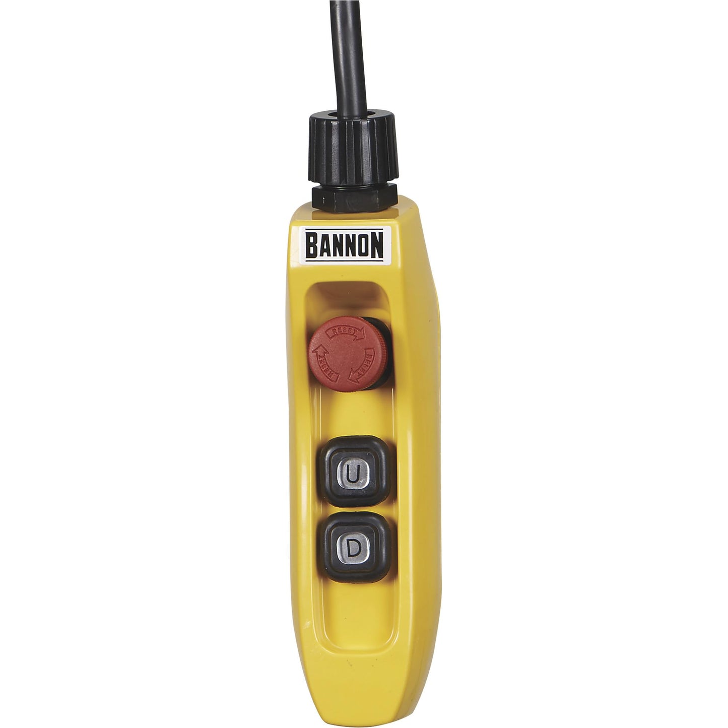 Bannon Compact Electric Cable Hoist - 1100-Lb. Capacity, 95ft. Lift, 110 Volts, 1 Phase