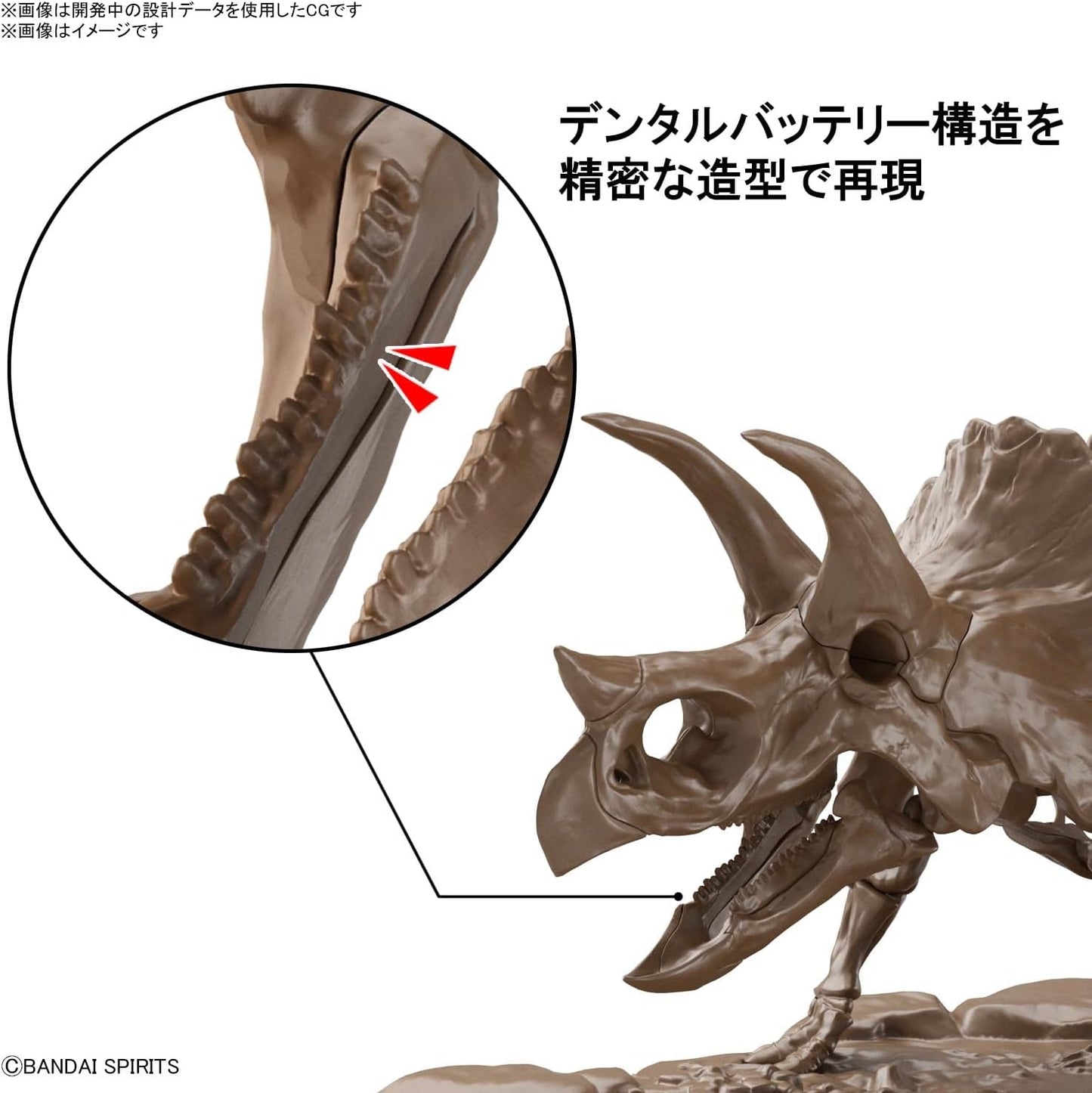 1/32 Bandai Hobby - Dinosaur - Triceratops, Bandai Spirits Imaginary Skeleton Model Kit