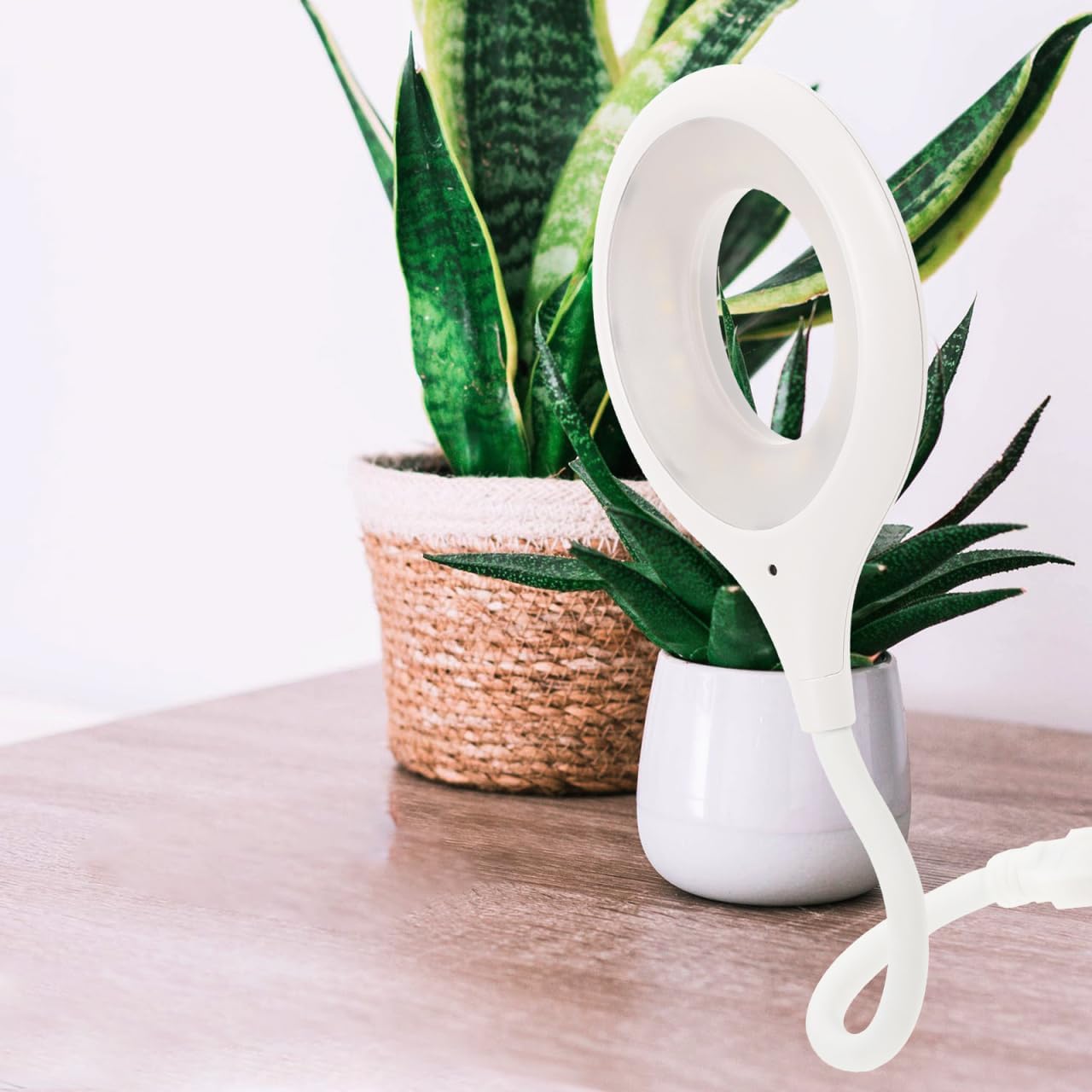Dimmable Voice Activated USB Gooseneck Lamp Flexible Bedside Reading Light Night Light for Bedroom USB Powered