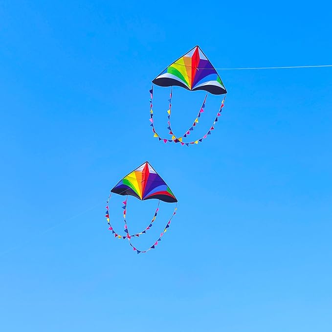 Delta Kite for Kids & Adults - Easy to Fly Large Single Line Beach Kite with 300ft String Handle Included, Perfect for Beginners, Teens