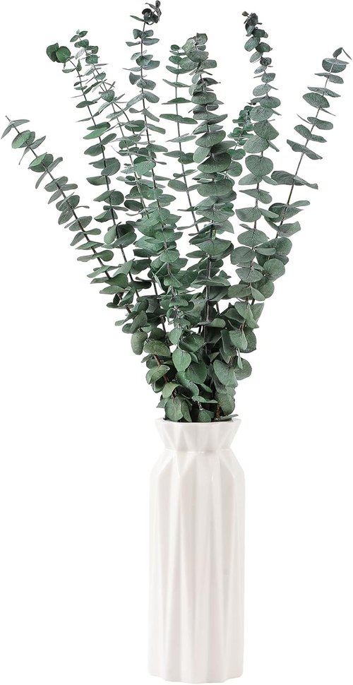 Eucalyptus | 10 Pcs Dried Eucalyptus Stems - 17" Real Fresh Leaves for Wedding & Home Decor
