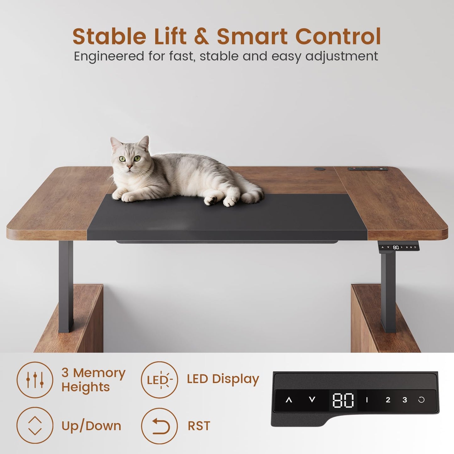 SEDETA 63" Executive Standing Desk with Storage, Executive Height Adjustable Desk with Power Outlets, Large Computer Office Desk with Privacy Panel for Home Office, Warm Golden Brown