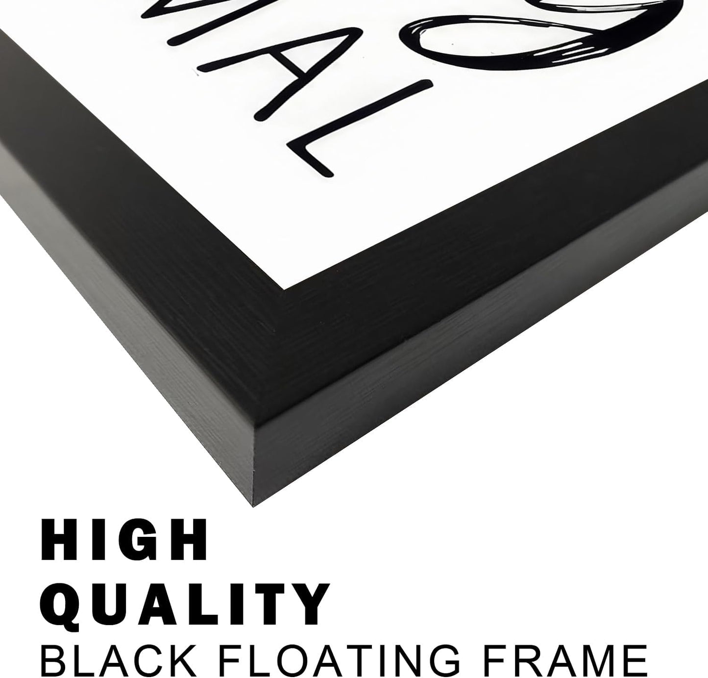Regine Switzerland Bathroom Decor | Black and White Framed Art Prints for Guest Toilets & Kids' Washrooms
