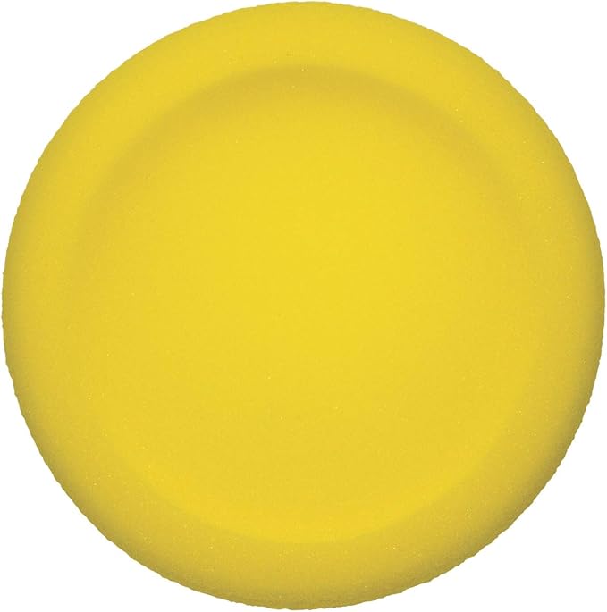 Champion Sports-CHSFDSET Rounded Edge Foam Discs, Red/Yellow/Royal Blue/Green/Orange/Purple