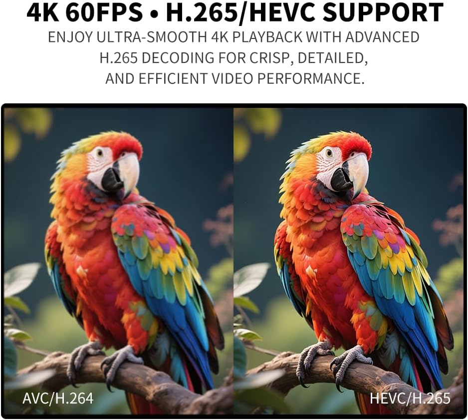 COSOWELL 4K H.265 H.264 MP4 MP3 Media Player for USB Drive & MicroSD, Ultra HD Digital Signage Player with HDMI/AV