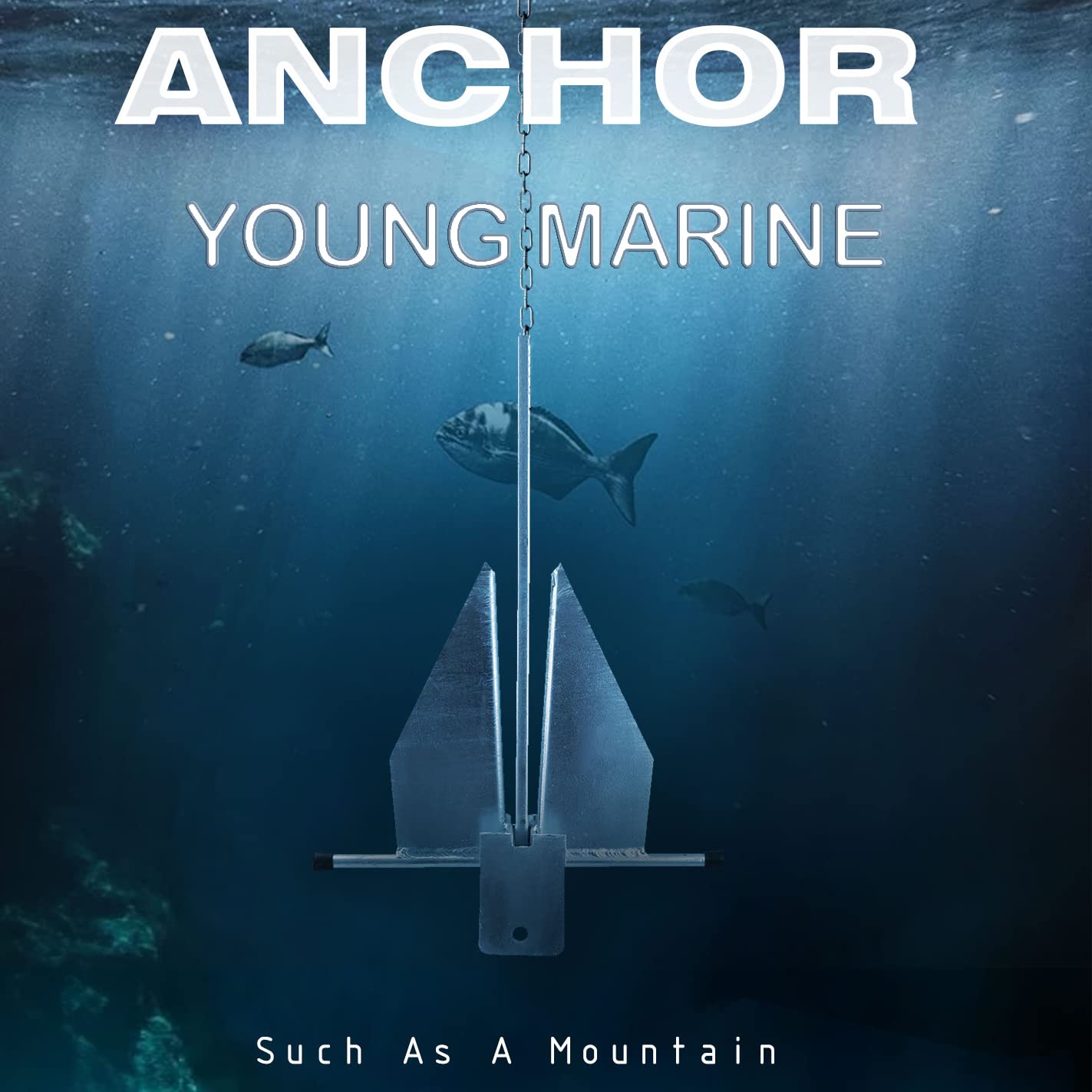 Young Marine Portable Galvanized Fluke Style Anchor Kit Includes Galvanized Fluke Anchor, Rope, Shackles, Chain 8LB 10LB (10 LB)