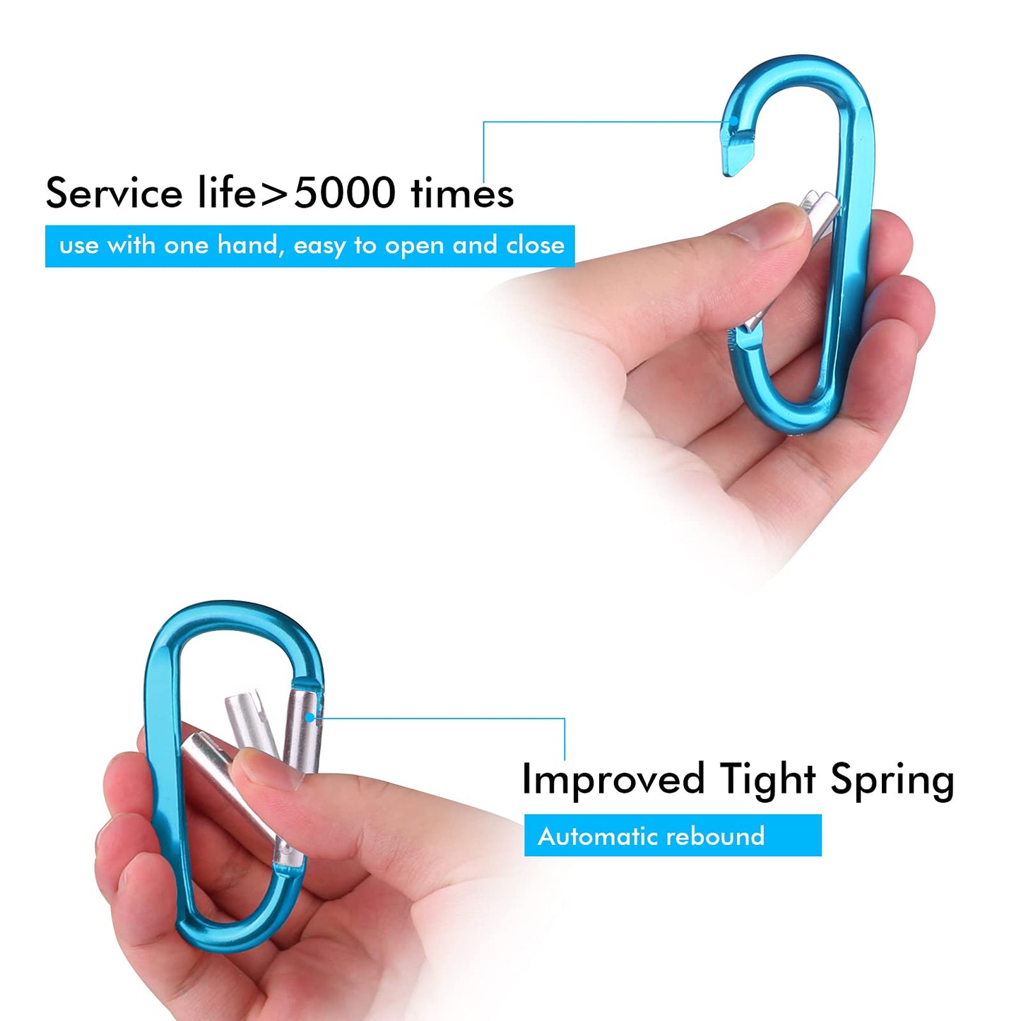 CampTek 6PCS Carabiner Caribeaner Clip,3" Large Aluminum D Ring Shape Carabeaner Keychain Hook