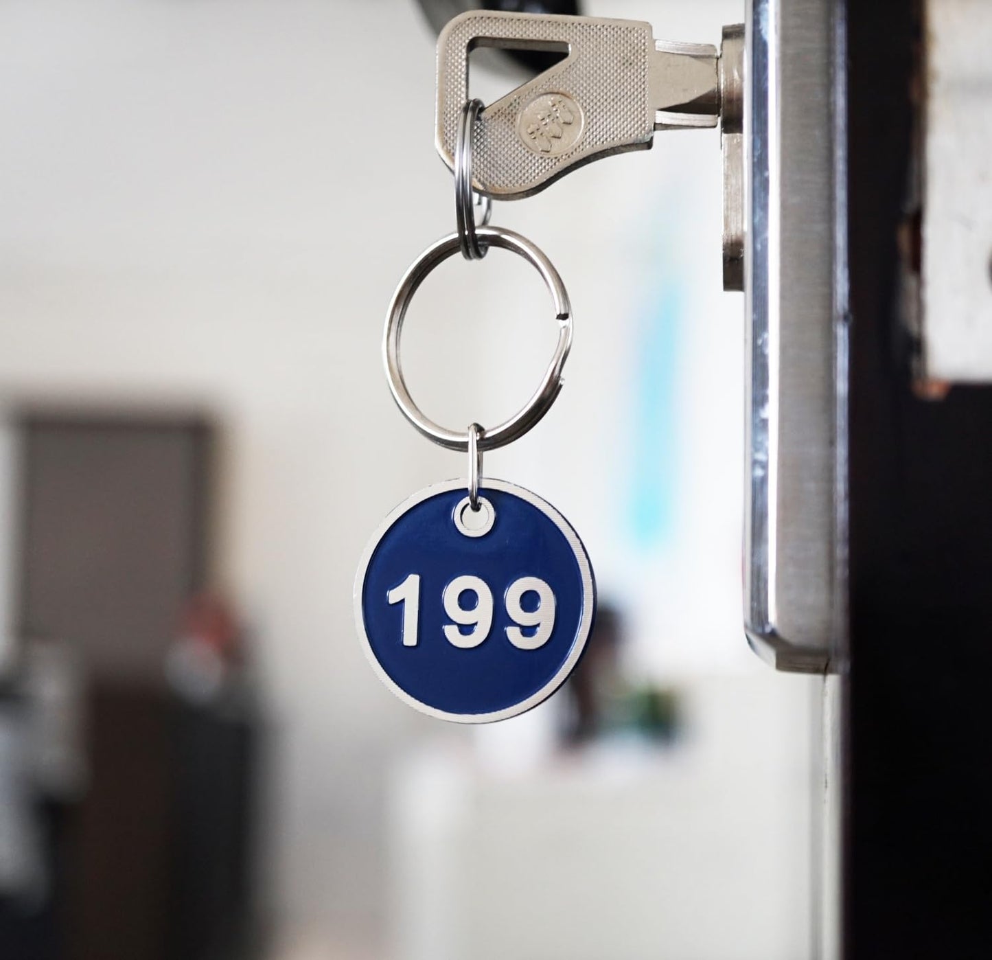 NumRealm Aluminum Alloy Metal Number Key Tag Set - Numbered ID Tags Key Chain with Rings - Blue 1 to 200