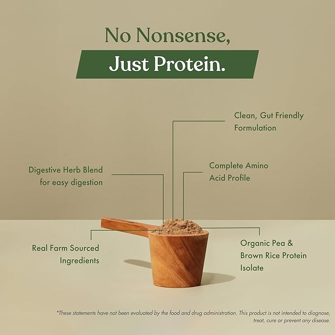 No Nonsense Plant Protein, Organic Brown Rice & Pea Isolate, Easy Digestion, 24G Protein/Serving, Gluten & Lactose Free Real Indonesian Cacao 500 G (Pack of 1)