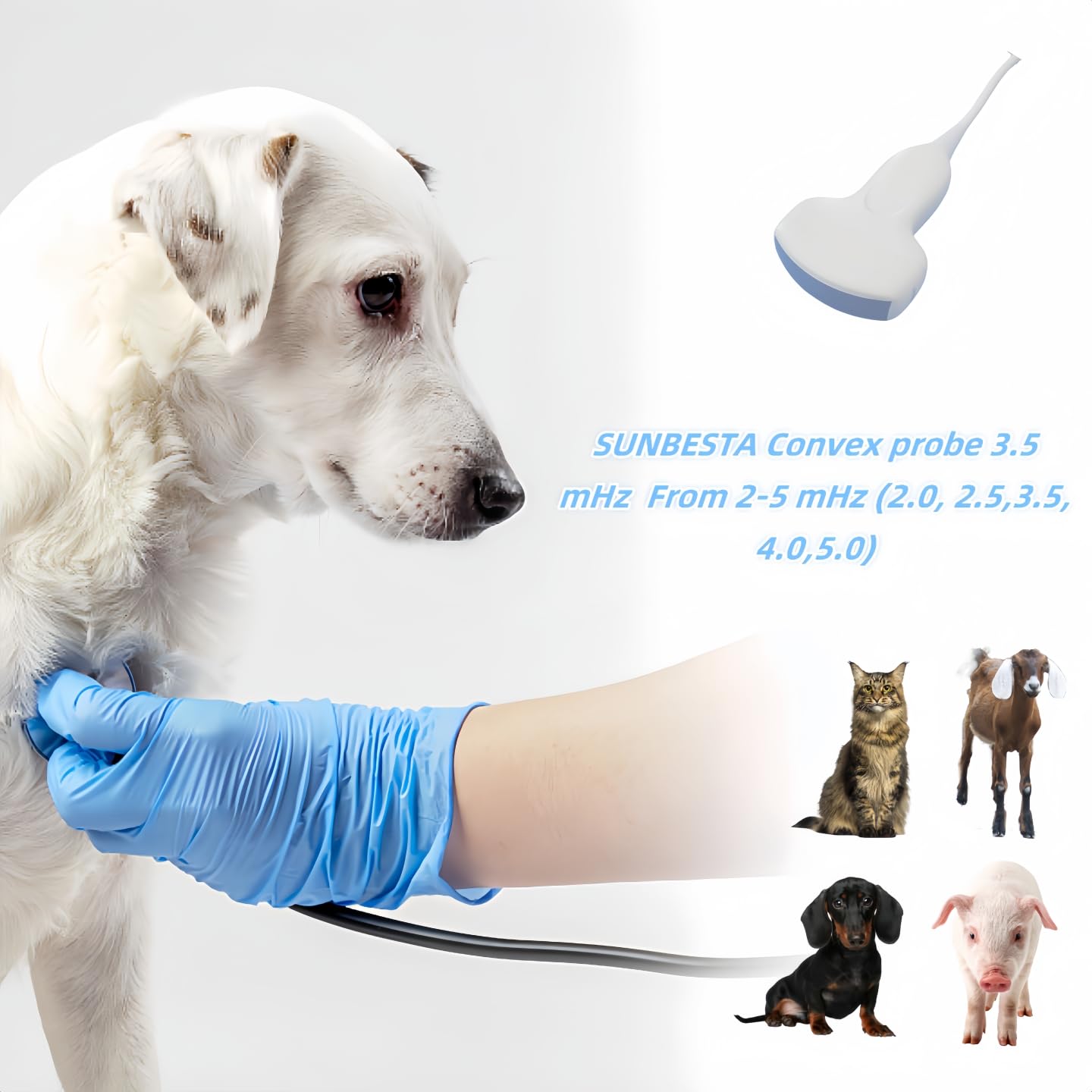 SUNBESTA Veterinary Ultrasound Machine A20, 3.5MHz Convex Probe, Aluminum Alloy Design, Rechargeable+ Carrying case, Friendly to Beginners, for Dog Kennels, Pig Farm and Sheep Farm Pregnancy Check