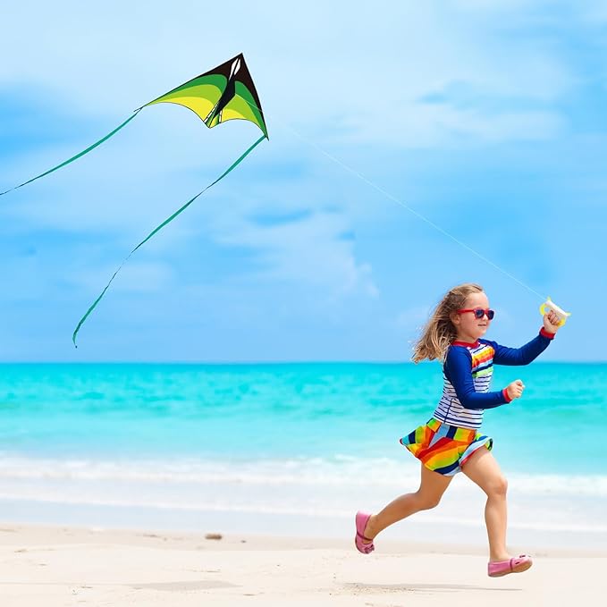 Large Delta Kite for Kids & Adults - Easy to Fly Outdoor Kites for Kids Ages 8-10, Perfect for Beach & Family Activities, Includes Line & Handle