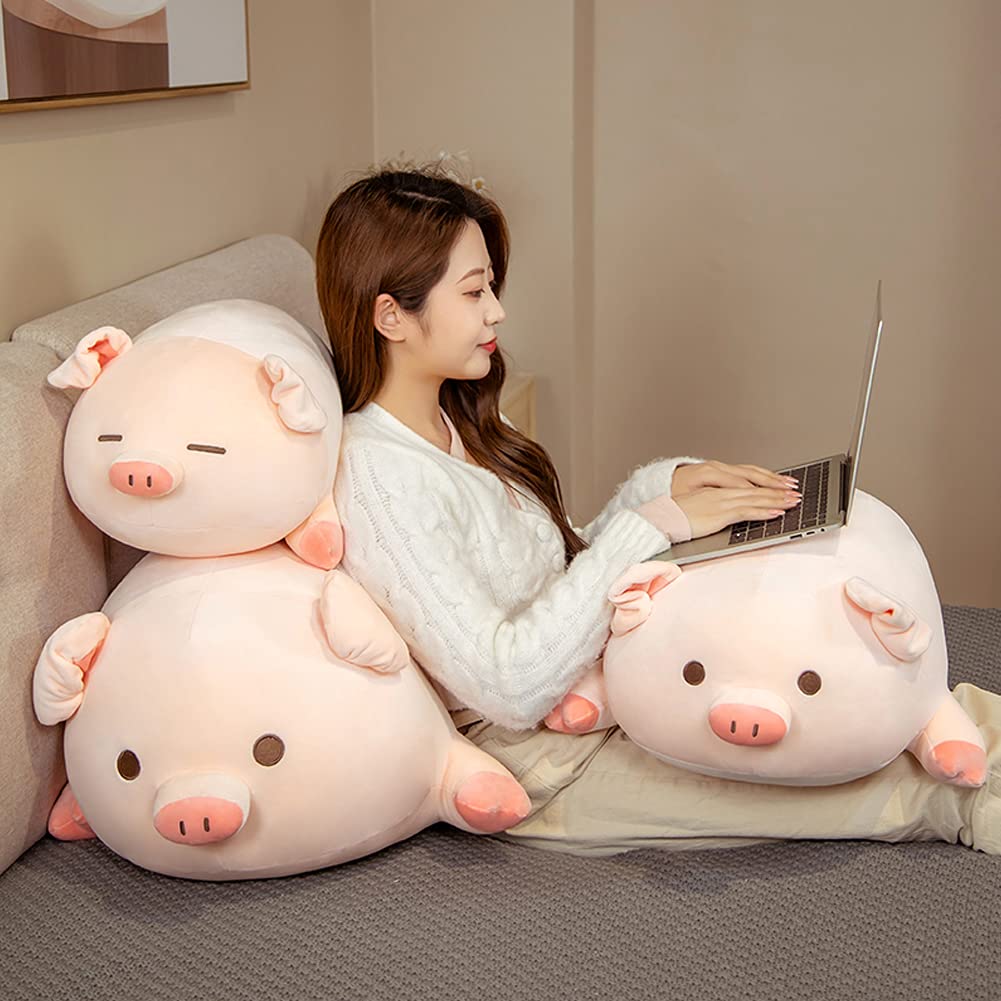 lannery Pig Stuffed Animal Hugging Pillow, Soft Fat Pig Plush Toy Gifts for Kids, Valentine, Christmas (Round Eyes, 23.6")