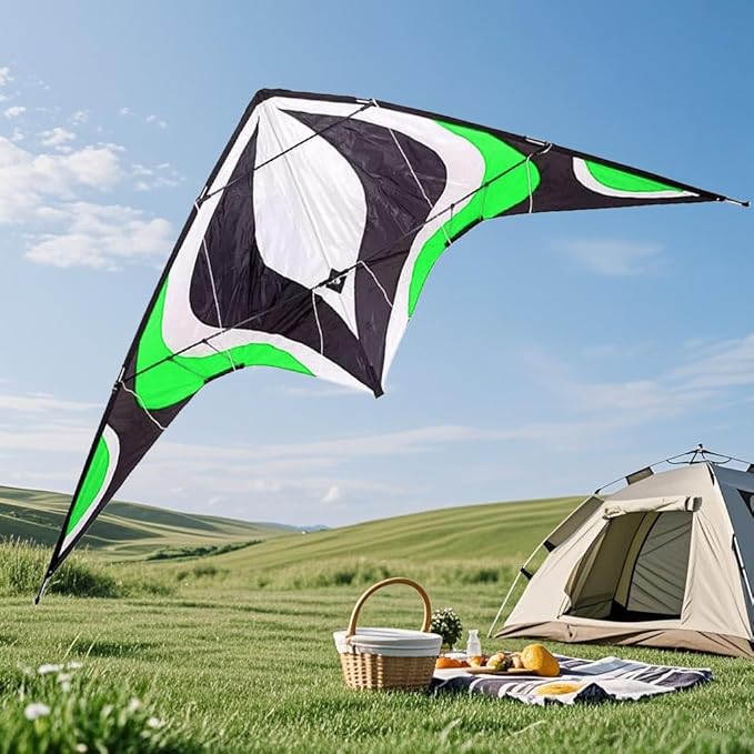 Babyeden Large Dual Line Stunt Kite, 84 Inch Wide Entry-Level Sport Kite for Adults and Teenagers