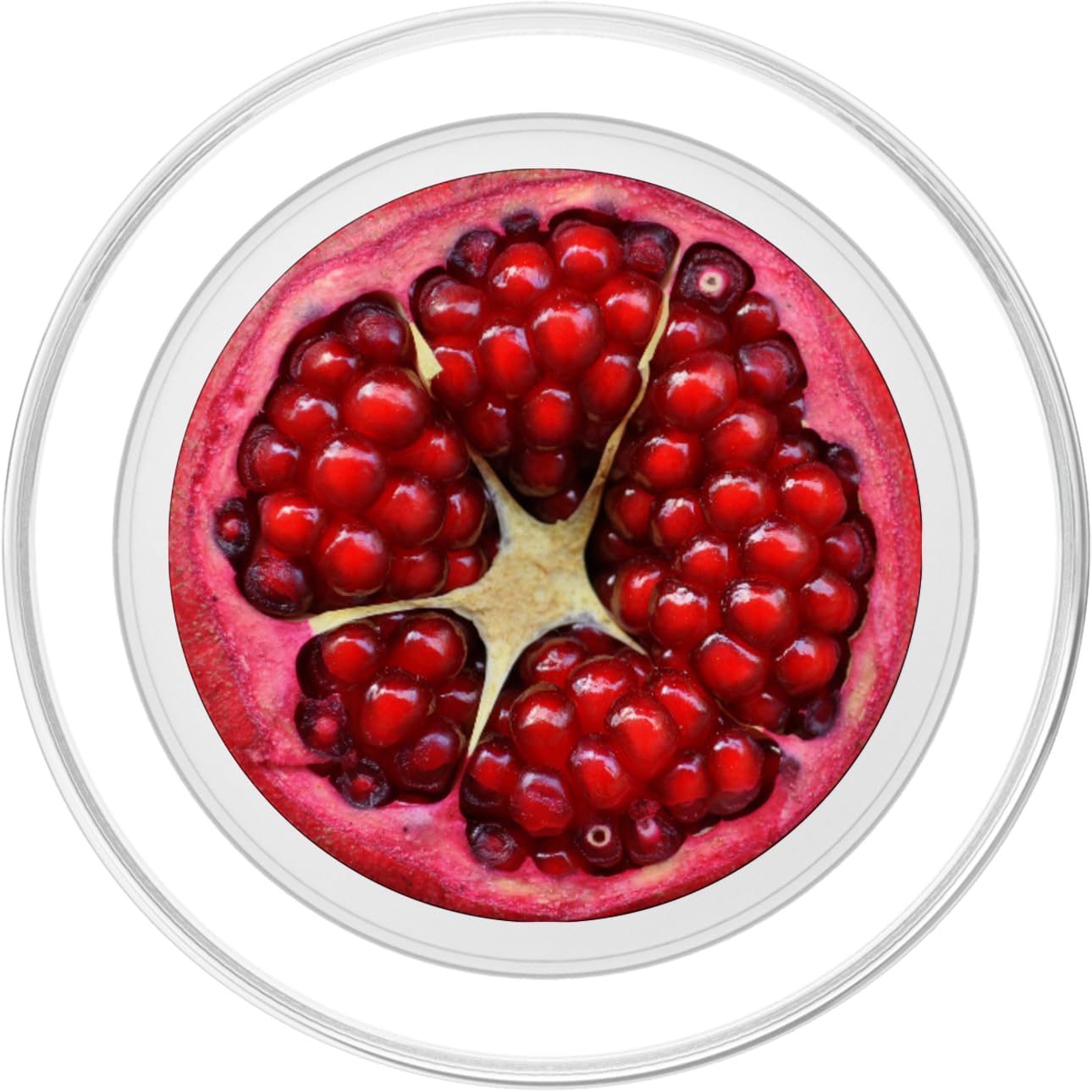 401Tech Beautiful Art Background Wallpaper Cute Pomegranate Fruit Organic Vegan Healthy Fresh Nature Food PopSockets