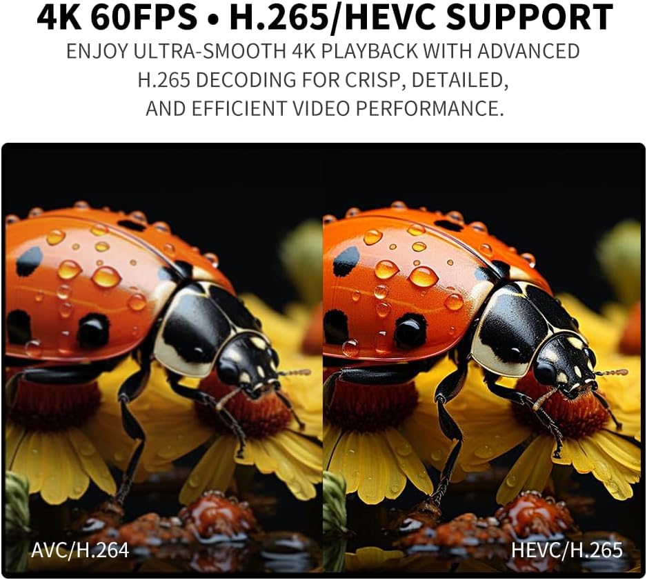 COSOWELL 4K H.265 H.264 MP4 MP3 Media Player for USB Drive & SD, Ultra HD Digital Signage Player with HDMI/AV Output