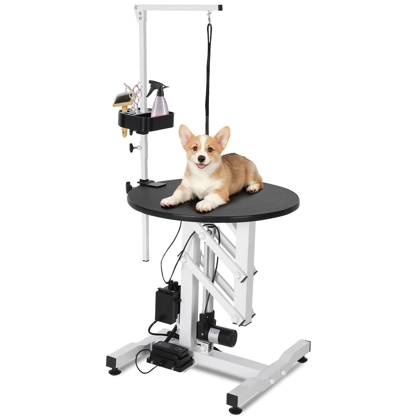 Garvee 24 Inch Electric Hydraulic Lift Pet Dog Grooming Table, Rotating Grooming Desktop for Small Pet, with Overhead Arm, Foot Remote, Tool Organizer, Capacity 250LBS