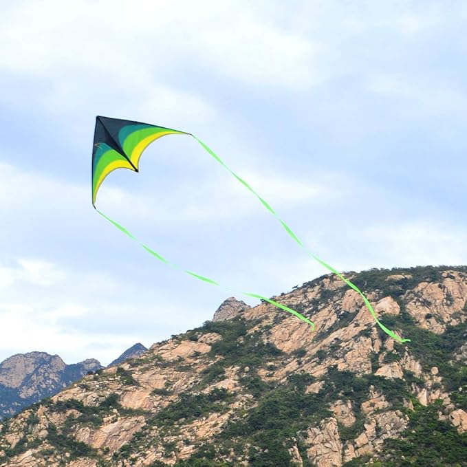 Mint's Colorful Life Delta Kite for Kids & Adults, Extremely Easy to Fly Kite, Best Kites for Beginner