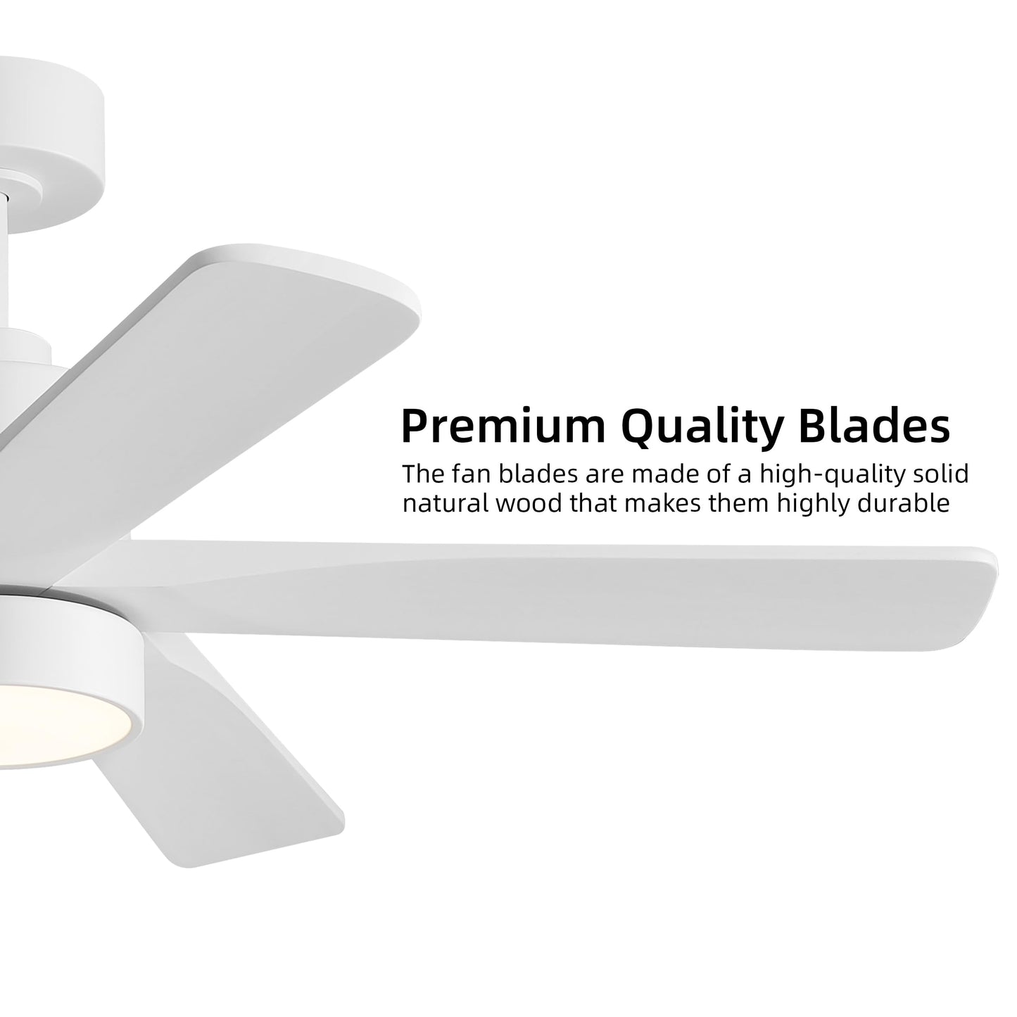 WINGBO 48 Inch DC Ceiling Fan with Lights and Remote Control, 5 Carved Solid Wood Blades, 6-Speed Noiseless Reversible DC Motor, Indoor Ceiling Fan in Gloss White Finish with White Blades