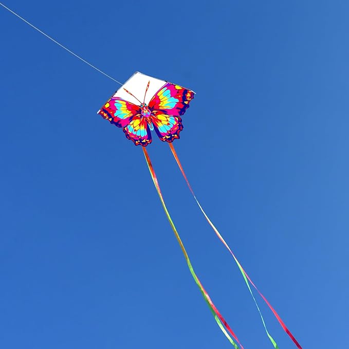 HENGDA KITE 2 Pack Butterfly Kite,for Kids and Adults,Easy to Fly,Excellent Fabric and Structure Design,The Pictures are Beautiful in high Definition,Suitable for Beginners(31x22)