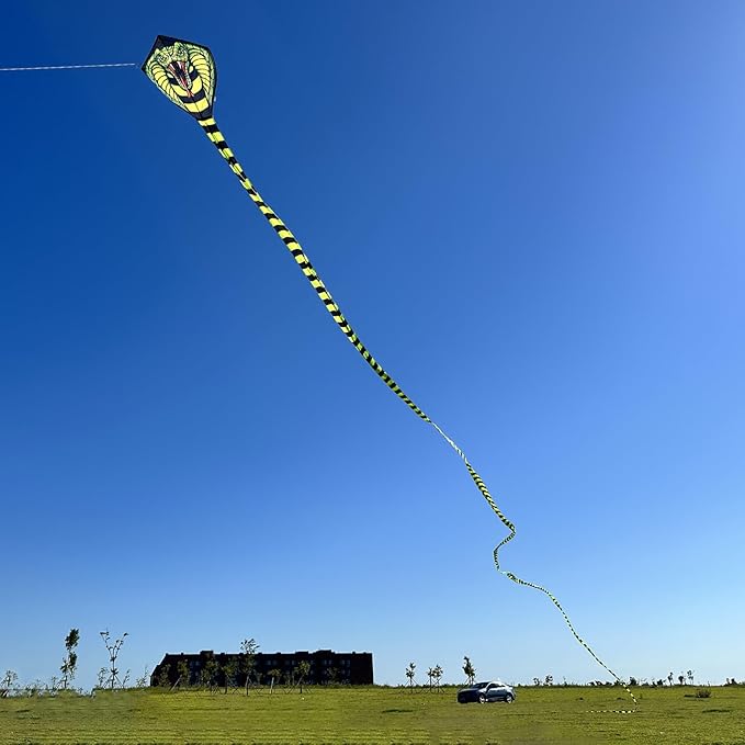 Large Cobra Kite for Adults Kids Boys with Super Long Tail, Extra Easy to Fly, Best Huge Kites for The Beach/Party/Field/Park, It Will Dominate The Sky!