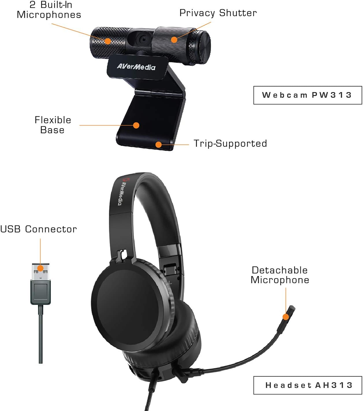 AVerMedia 317 Video Conference Kit