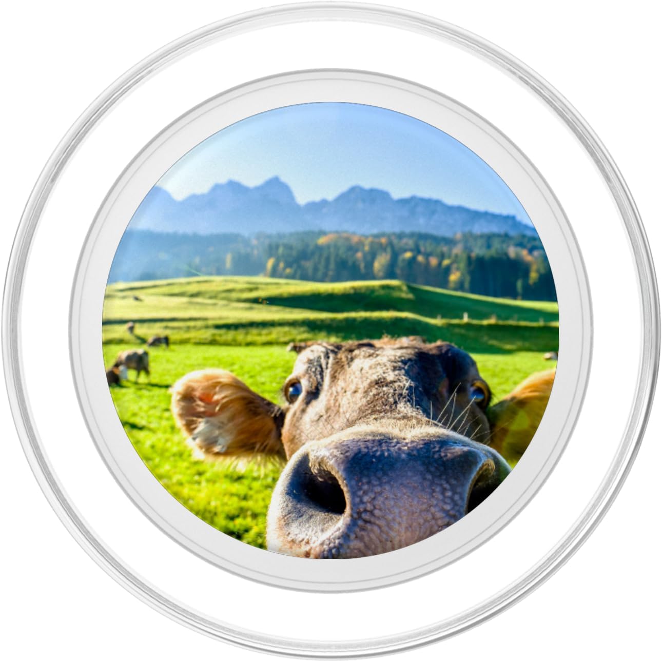 CJ Grips Cow Selfie Funny PopSockets PopGrip for MagSafe