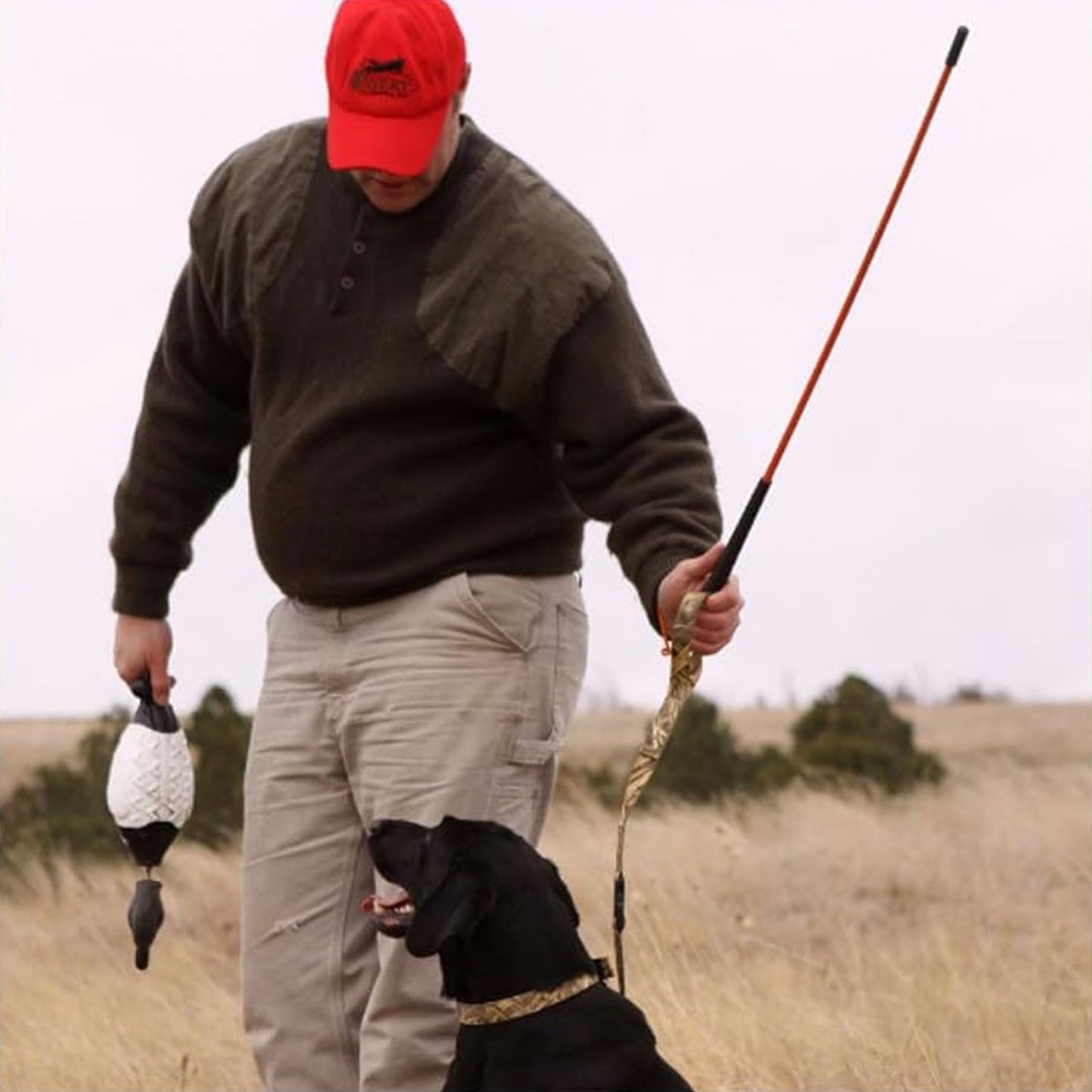 Avery Trainer's Heeling Stick for Dogs | 36" Flexible Fiberglass Obedience Rod with Non-Slip Grip Handle & Wrist Strap | High Visibility Training Tool for Gundogs & Retrievers