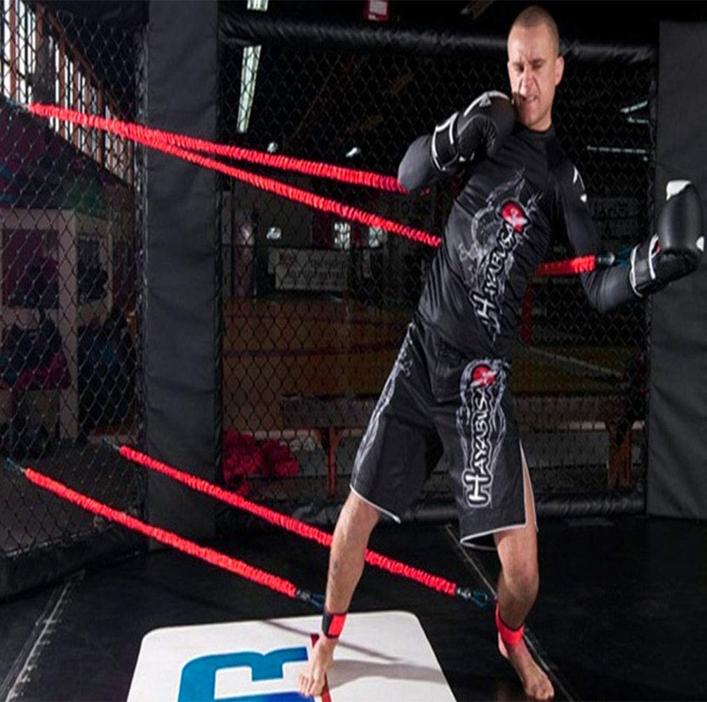 YNXing Dynamic Resistance Trainer Elastic for Resistance Training to Improve Strength, Power, and Agility (6.6ft)