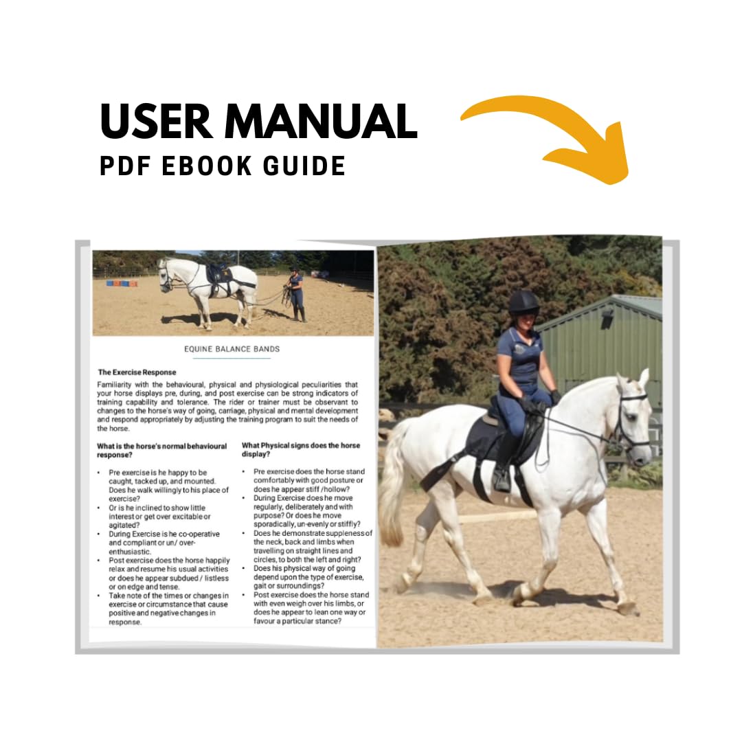 Equine Band System - Core Training Aid for Horses. Saddle Pad and Equibands System (All Purpose)