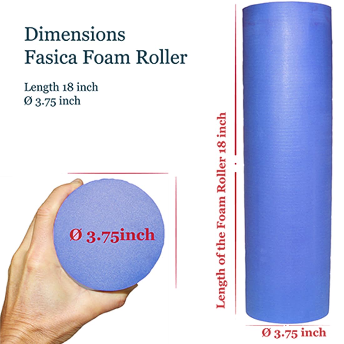 Foam Roller Back Leg Muscle Pain - Small Size Hard Density EVA Muscle Recovery Roll Ø3.75"x18" for Physical Therapy, Helps as Spine Cracker Stretcher