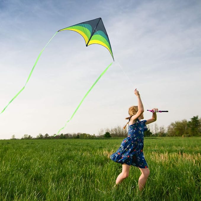 Mint's Colorful Life Delta Kite for Kids & Adults, Extremely Easy to Fly Kite, Best Kites for Beginner