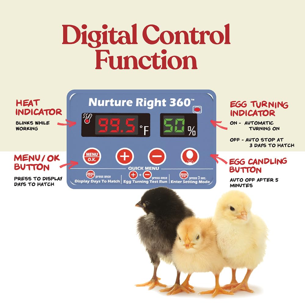 Harris Farms Nurture Right Egg Incubator for Hatching Chicks, Holds 12-22 Eggs, Automatic Turner with Temperature and Humidity Control, 360 Degree View with Clear Window, Incubator for Hatching Eggs