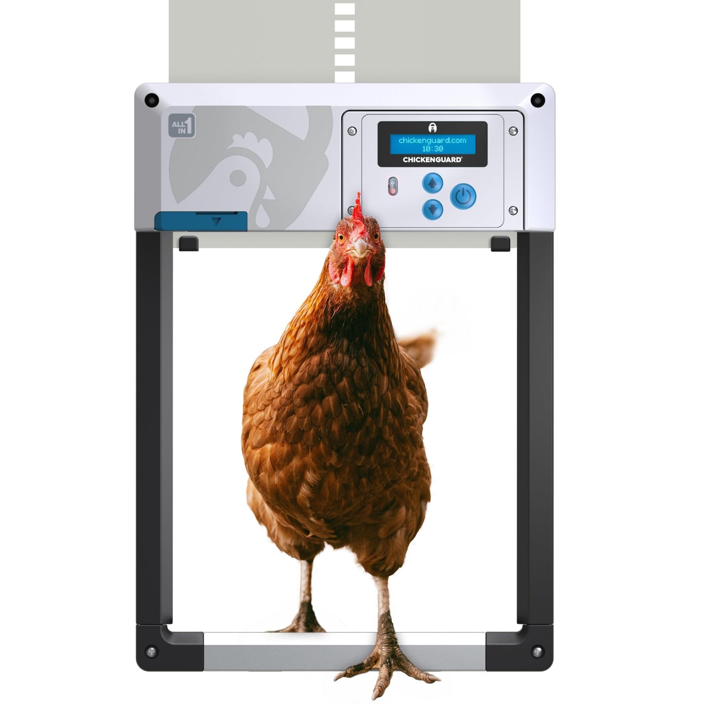 Automatic Chicken Coop Door Opener, ChickenGuard One in All 4 Colours, Timer/Light Sensing, Winter Mode, Auto-Stop & Predator Proof, 3 Power Options, Solar, Battery or Electric (Gray + Batteries)