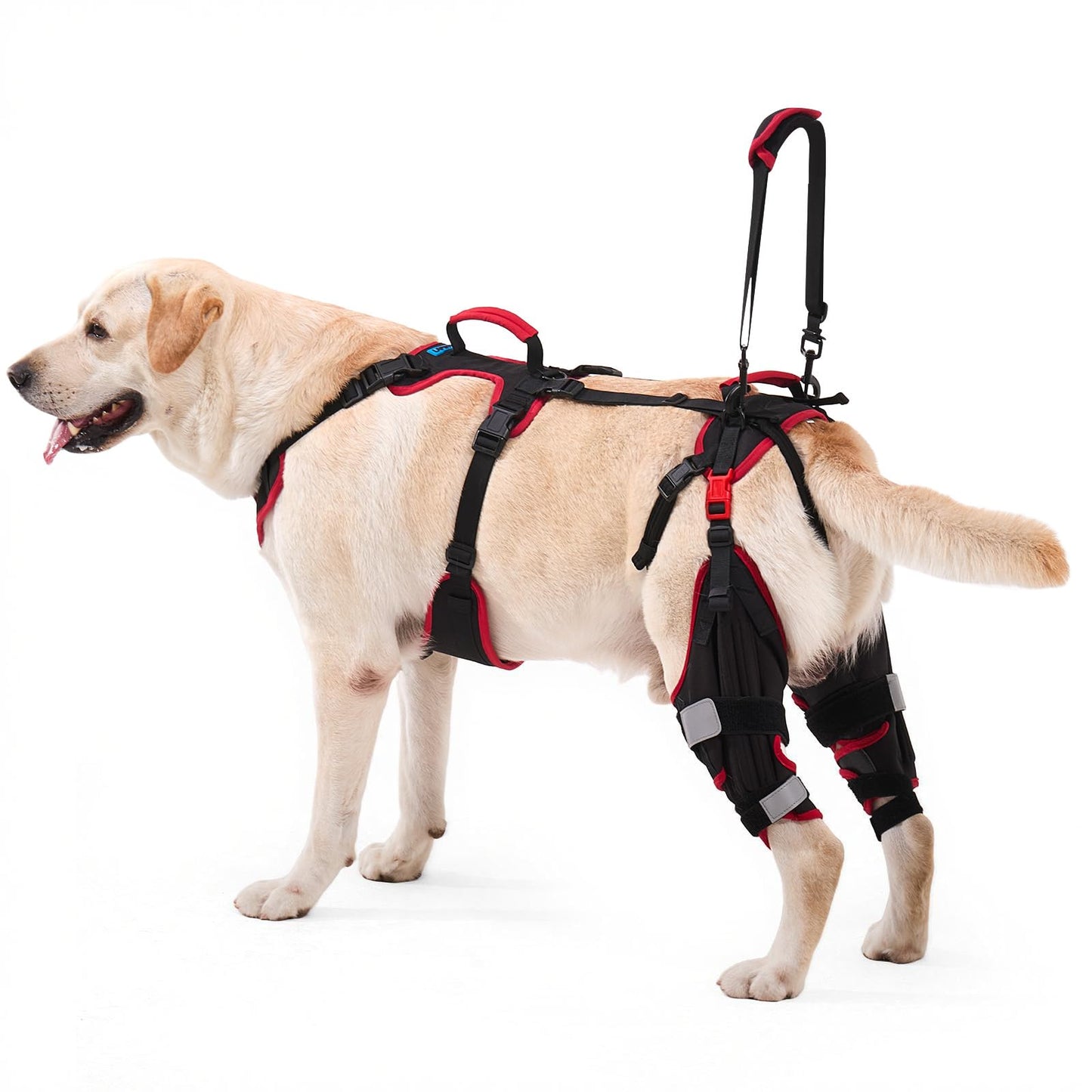 Lafoty Dog ACL CCL Knee Brace for Large Dogs, Set of 2 Hind Leg Braces with Handles & Shoulder Strap – Non-Slip Support for Injury, Arthritis & Post-Surgery Recovery, Black, Large