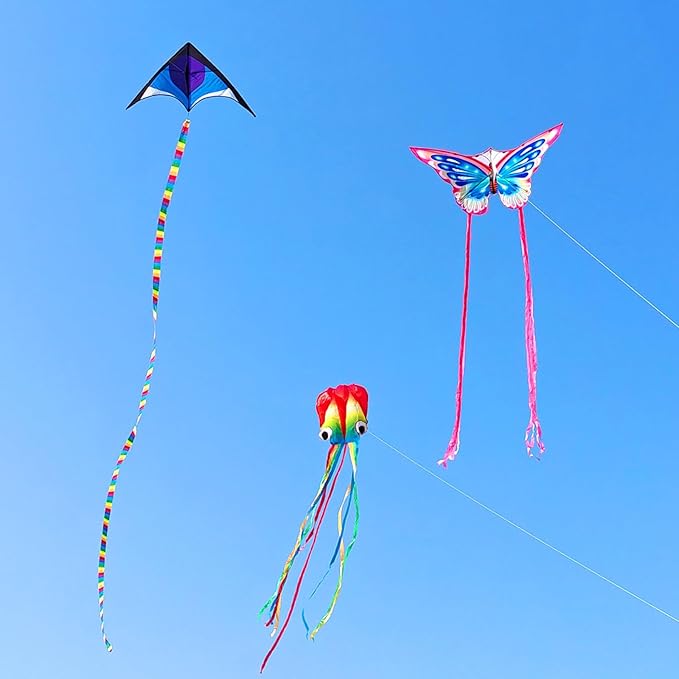 Kites for Kids & Adults, Beach Kites Set for Beginners, Easy to Fly Large Kites Pack for Boys and Girls, Kite String Included, Perfect for Outdoor Activities