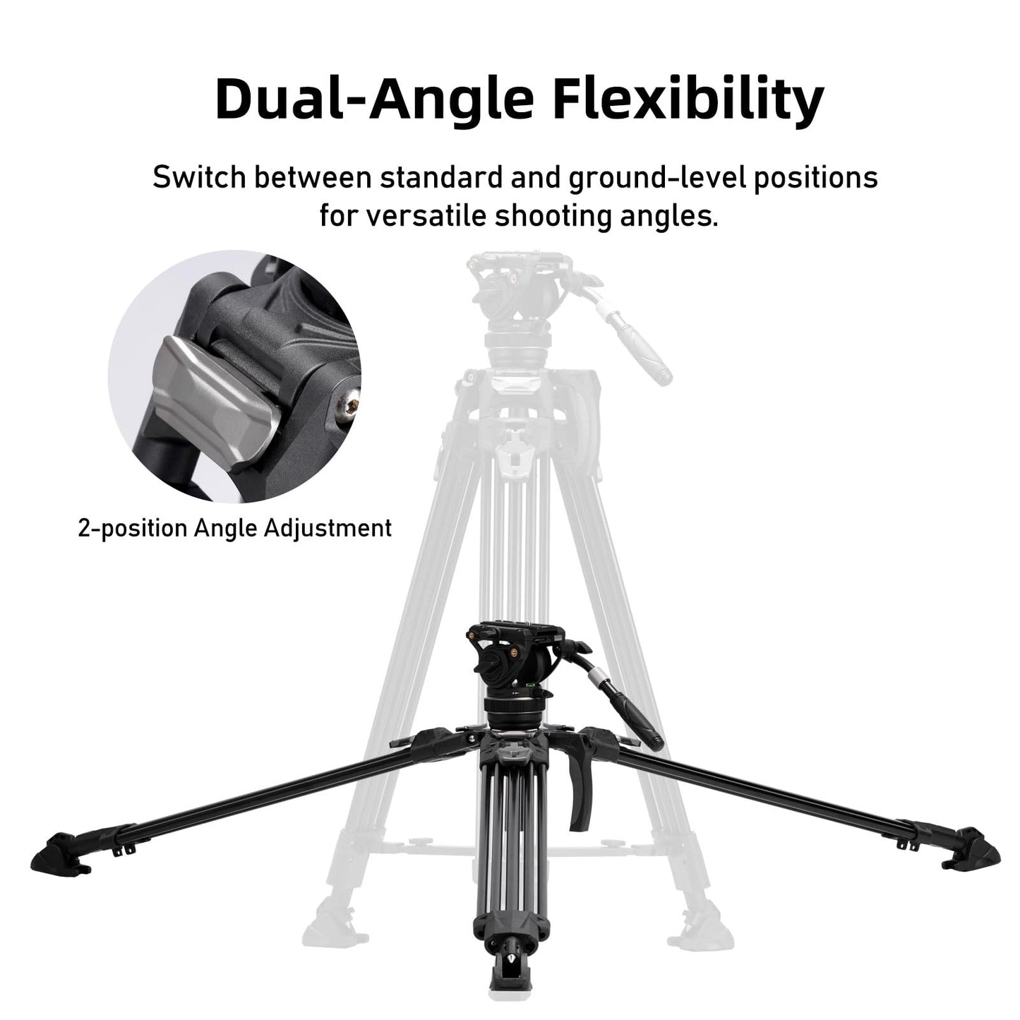 Cayer FA310H Video Camera Tripod with Fluid Head, 75" Aluminum Tripod with One Step Leg Locks & Rapid Adjust, 2 Quick Release Plates & Carry Handle for DSLR Cameras Camcorders, Max Load 22 lbs