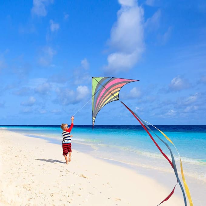 Mint's Colorful Life Delta Kite for Kids & Adults, Extremely Easy to Fly Kite, Best Kites for Beginner