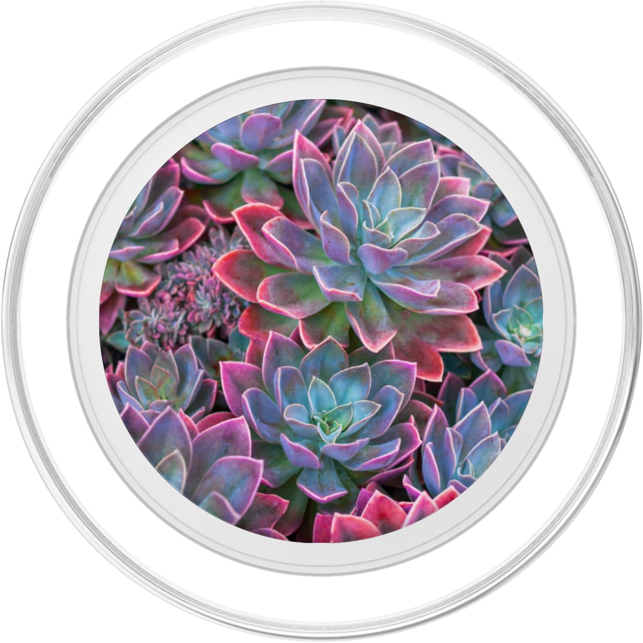 CJ Grips Succulent Plants Red PopSockets PopGrip for MagSafe