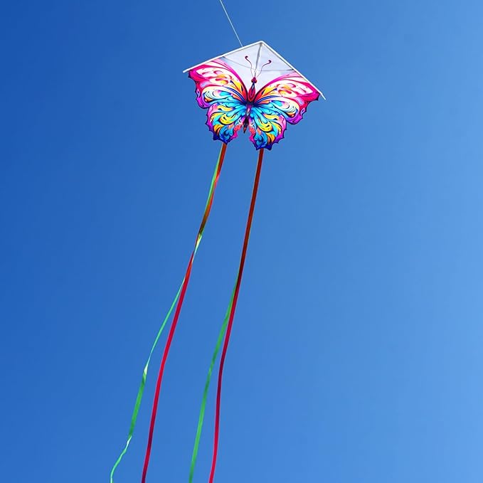 HENGDA KITE 2 Pack Butterfly Kite,for Kids and Adults,Easy to Fly,Excellent Fabric and Structure Design,The Pictures are Beautiful in high Definition,Suitable for Beginners(31x22)