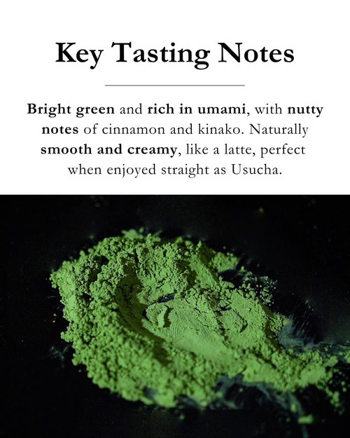 Emptea Yame Premium Ceremonial Grade Matcha Green Tea Powder - First Harvest Stone-Milled Japanese Matcha | Creamy Umami & Nutty Flavor, 1.06oz (30g) Tin