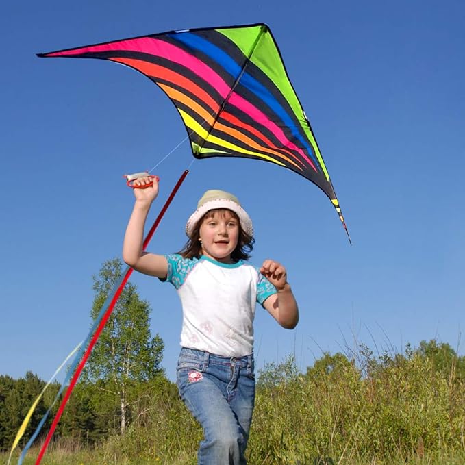 Mint's Colorful Life Delta Kite for Kids & Adults, Extremely Easy to Fly Kite, Best Kites for Beginner