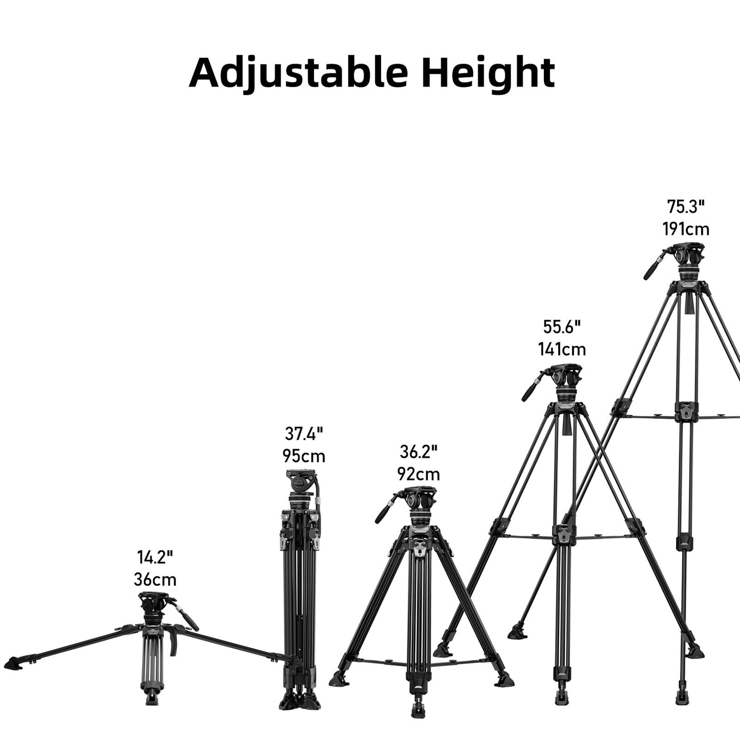 Cayer FA310H Video Camera Tripod with Fluid Head, 75" Aluminum Tripod with One Step Leg Locks & Rapid Adjust, 2 Quick Release Plates & Carry Handle for DSLR Cameras Camcorders, Max Load 22 lbs
