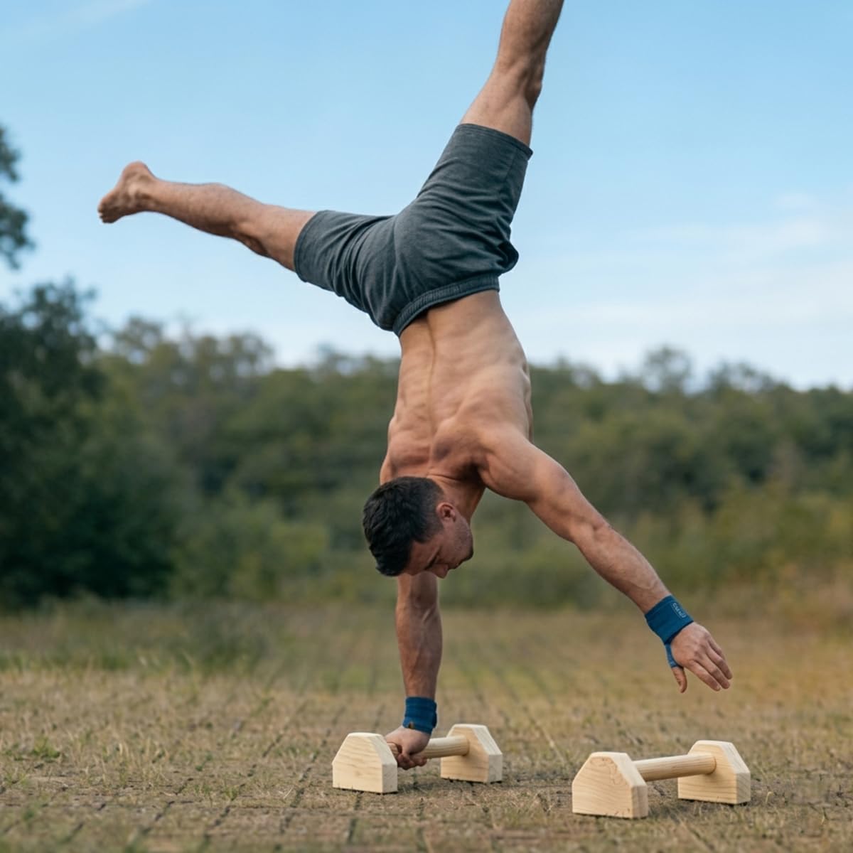 Trlakepreble Wooden Parallettes Push Up Bars, Anti-Slip Push-Up Handles, Mini Handle Pumps, Dip Station Dip Bar, Handstand Bars for Calisthenics and Fitness（log）