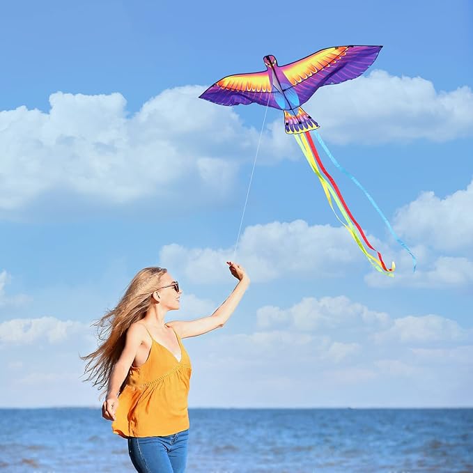 Mint’s Colorful Life Large Kite for Kids and Adults, Easy to Fly Single Line Beach Kites, Comes with 300ft String Handle