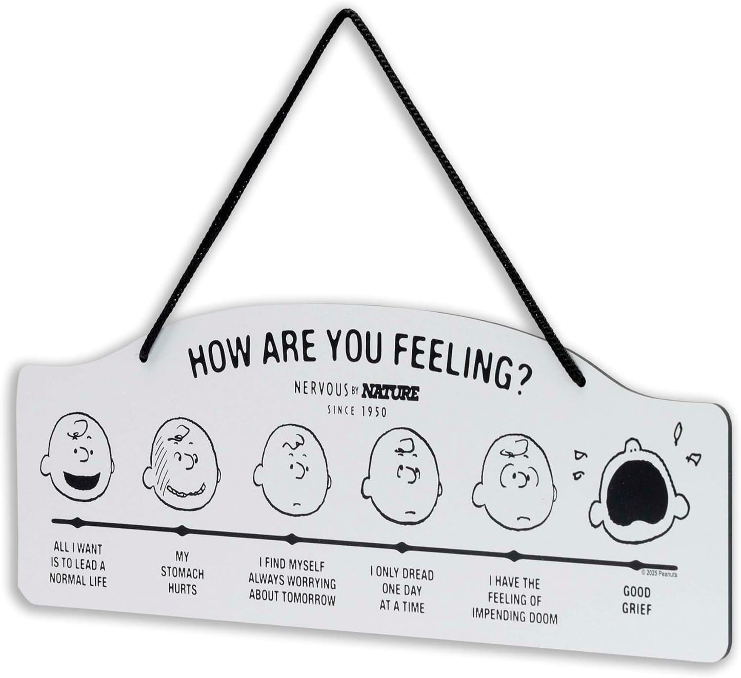 Peanuts How Are You Feeling Hanging Metal Sign - Humorous Wall Decor for Home | Perfect Gift Idea