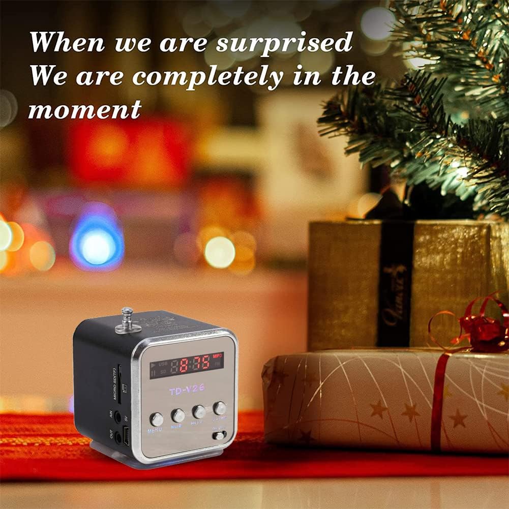 Eboxer Portable Mini Speaker Music Player FM Radio Stereo Speaker Support TF Card and U Disk, Brief Design, Perfect